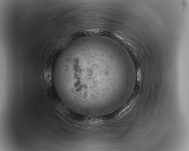 X0000096191011200801181316