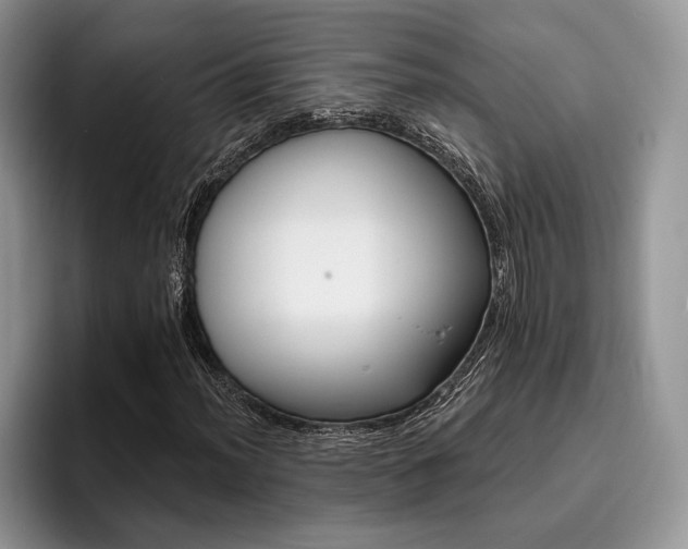 X0000096191012200801181316