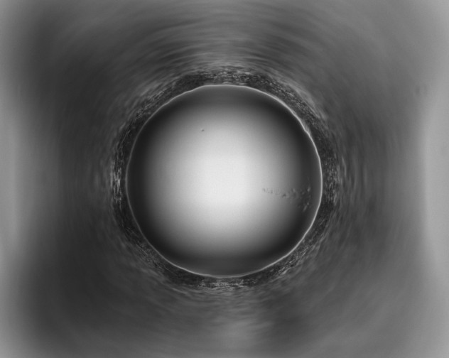 X0000096191013200801181316