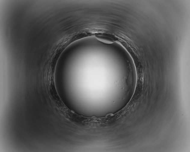 X0000096191014200801181316