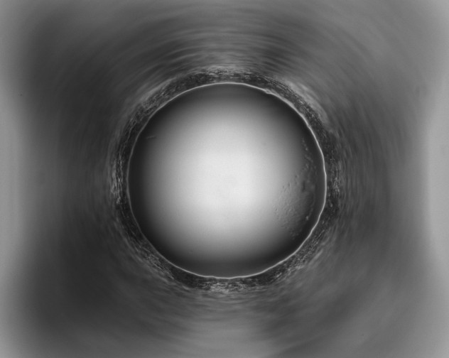 X0000096191015200801181316