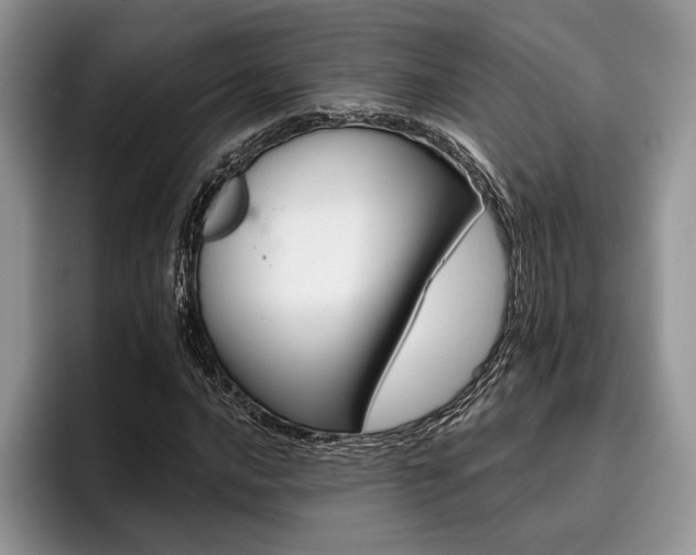 X0000096191016200801181316