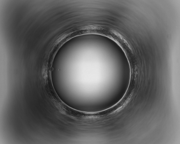 X0000096191017200801181316