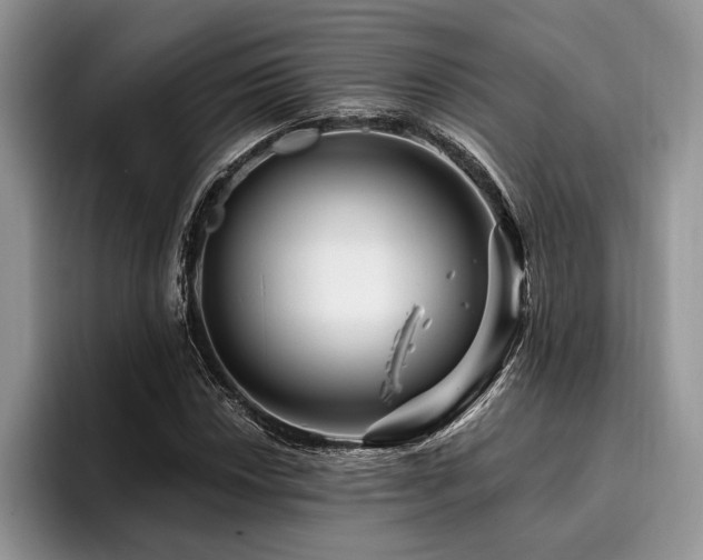 X0000096191018200801181316