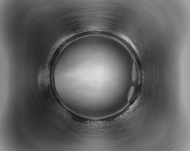 X0000096191019200801181316