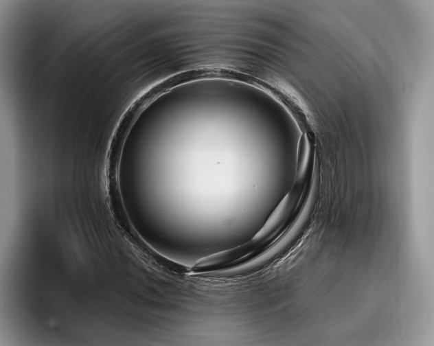 X0000096191020200801181317