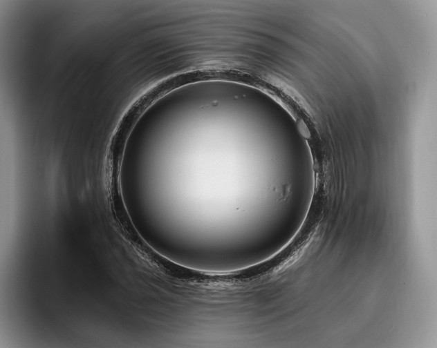 X0000096191021200801181317