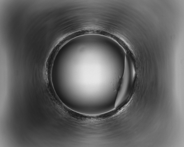 X0000096191022200801181317