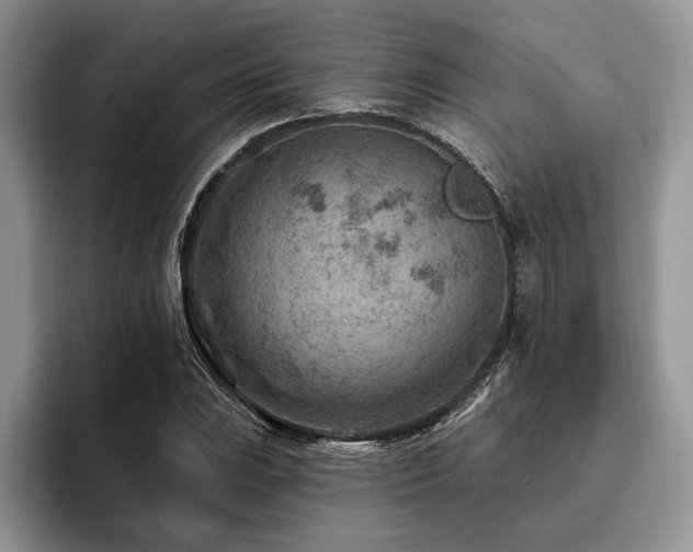 X0000096191023200801181317