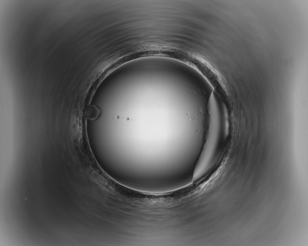 X0000096191025200801181317