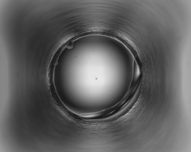 X0000096191026200801181317