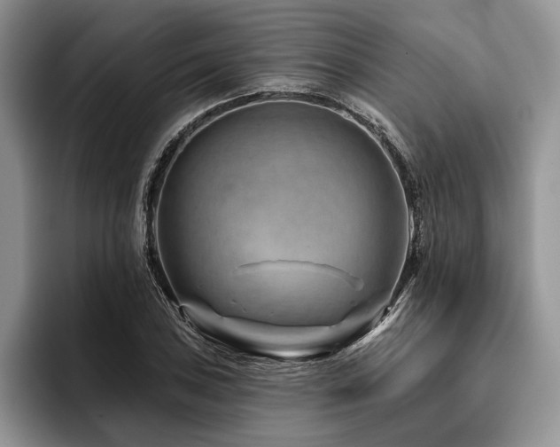 X0000096191027200801181317