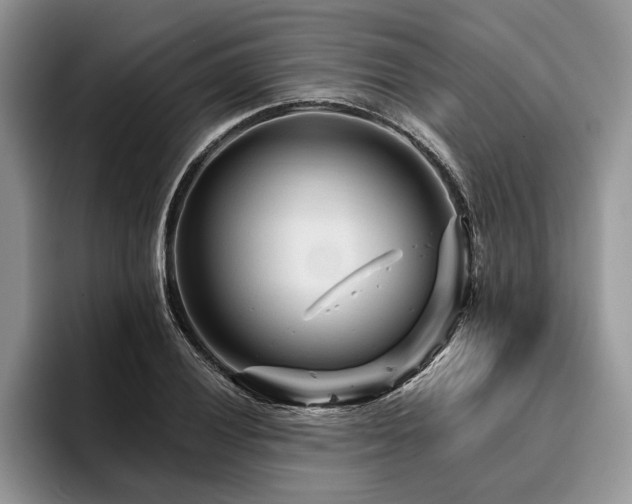 X0000096191028200801181317