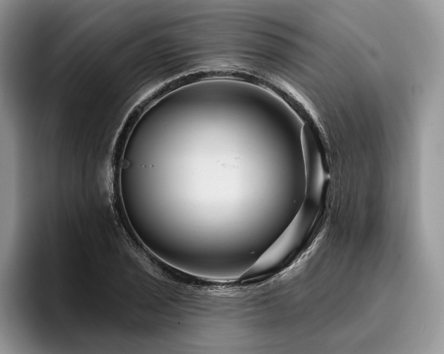X0000096191029200801181317