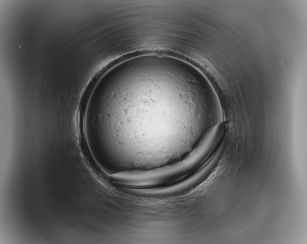 X0000096191030200801181317