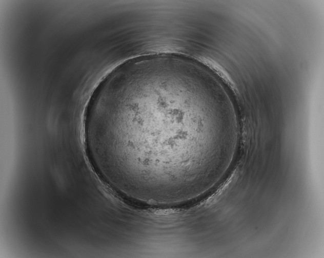 X0000096191031200801181317