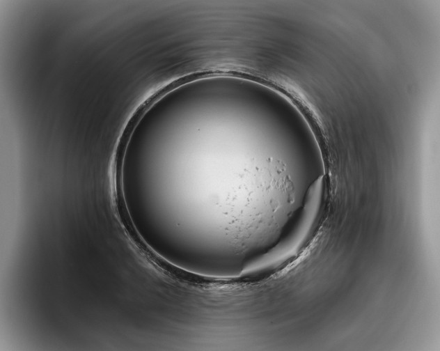 X0000096191032200801181317