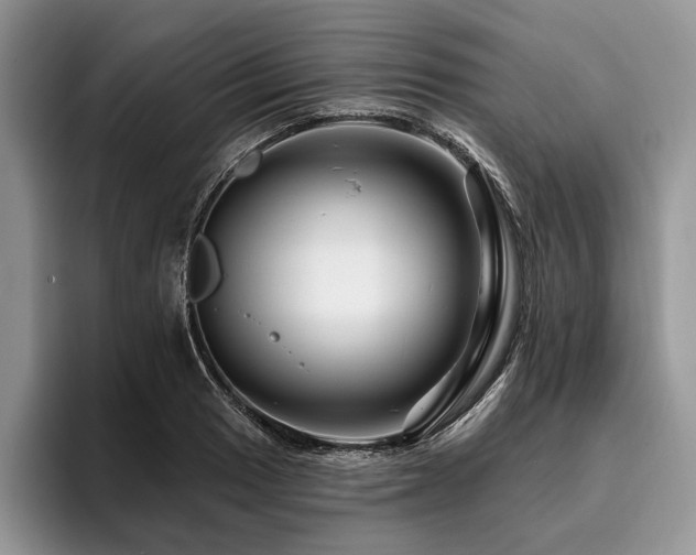 X0000096191033200801181317