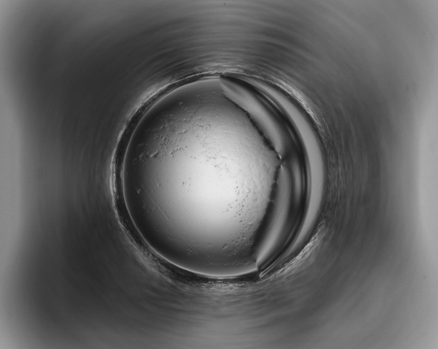 X0000096191034200801181317