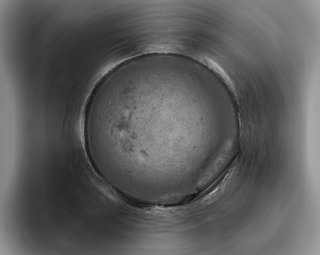 X0000096191035200801181317