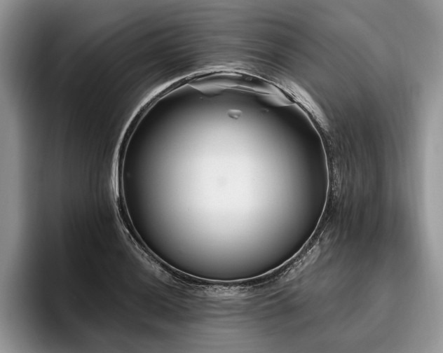 X0000096191036200801181317