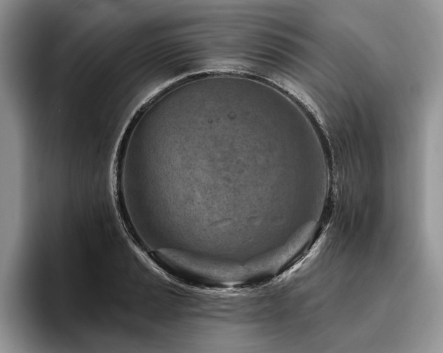 X0000096191037200801181317