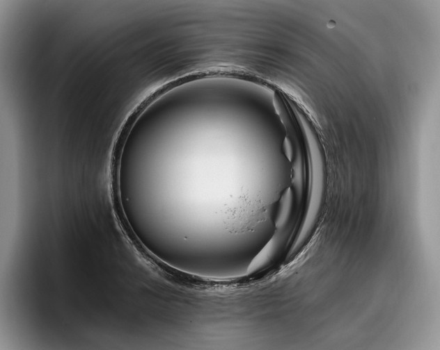 X0000096191038200801181317