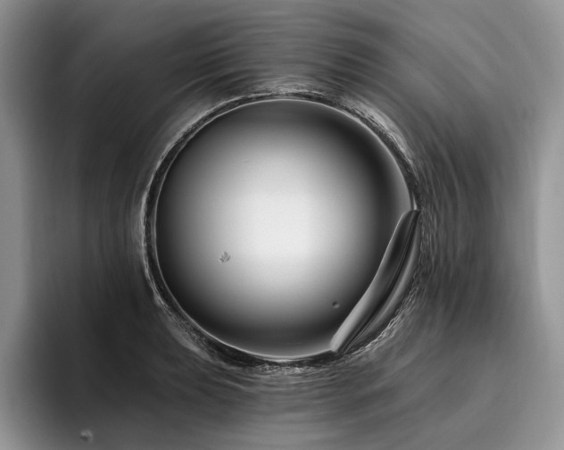 X0000096191039200801181317