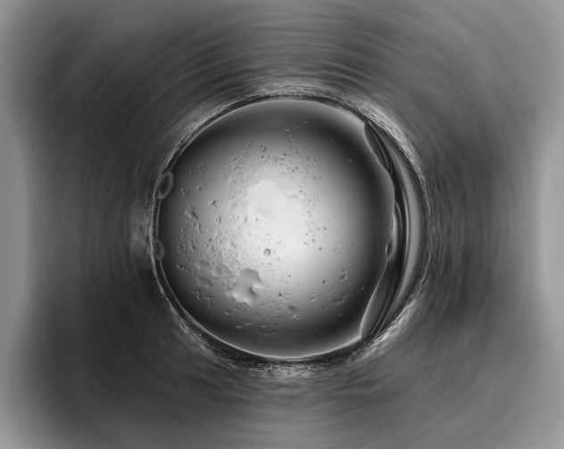 X0000096191041200801181317