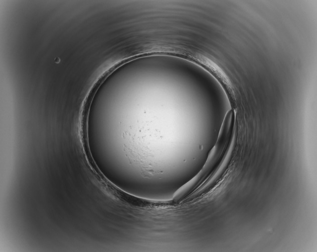 X0000096191043200801181317