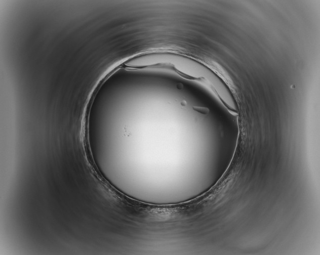 X0000096191044200801181317