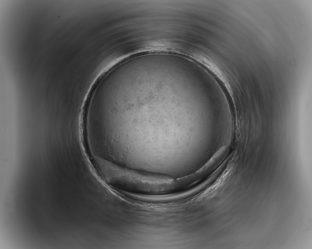 X0000096191045200801181317