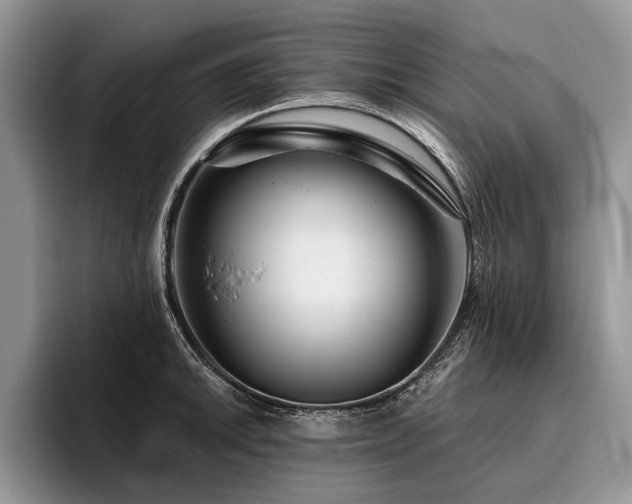 X0000096191046200801181317