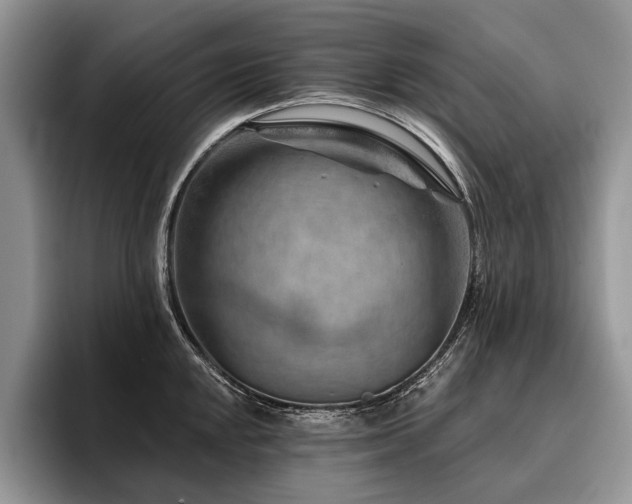 X0000096191048200801181317