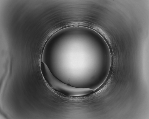 X0000096191049200801181317