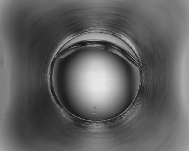 X0000096191050200801181317