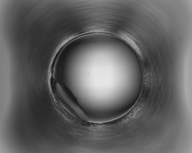X0000096191051200801181317