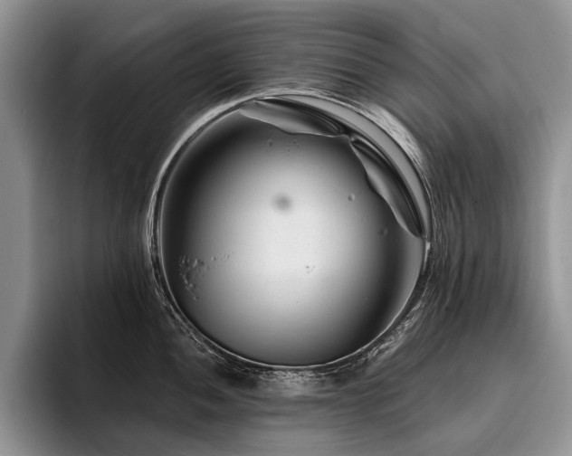 X0000096191052200801181317