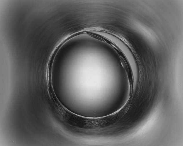 X0000096191054200801181317