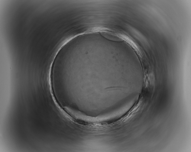 X0000096191055200801181317