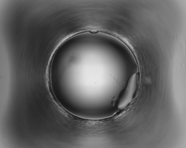 X0000096191056200801181317