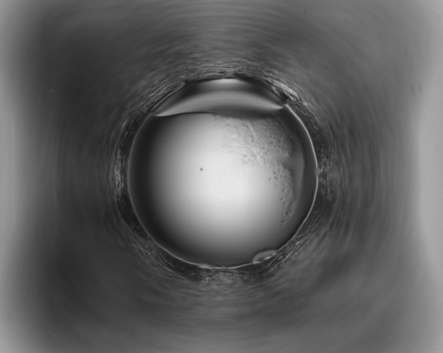 X0000096191058200801181316