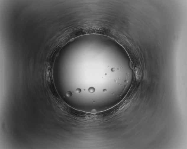 X0000096191059200801181316
