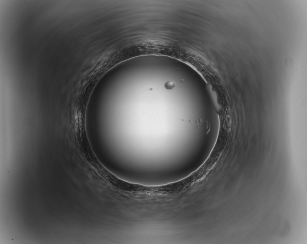 X0000096191061200801181316