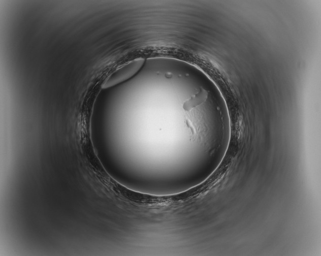 X0000096191062200801181316