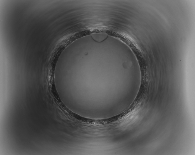 X0000096191063200801181316