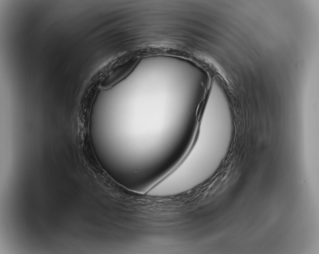 X0000096191064200801181316