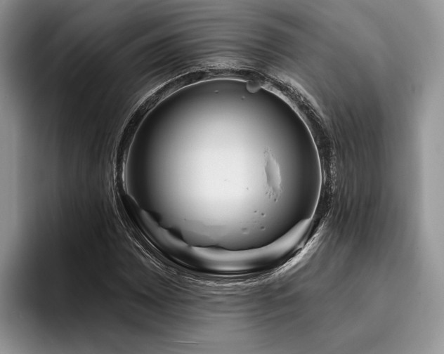X0000096191065200801181316
