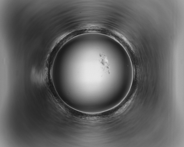 X0000096191066200801181316