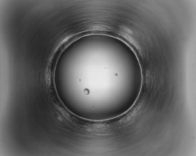 X0000096191067200801181316